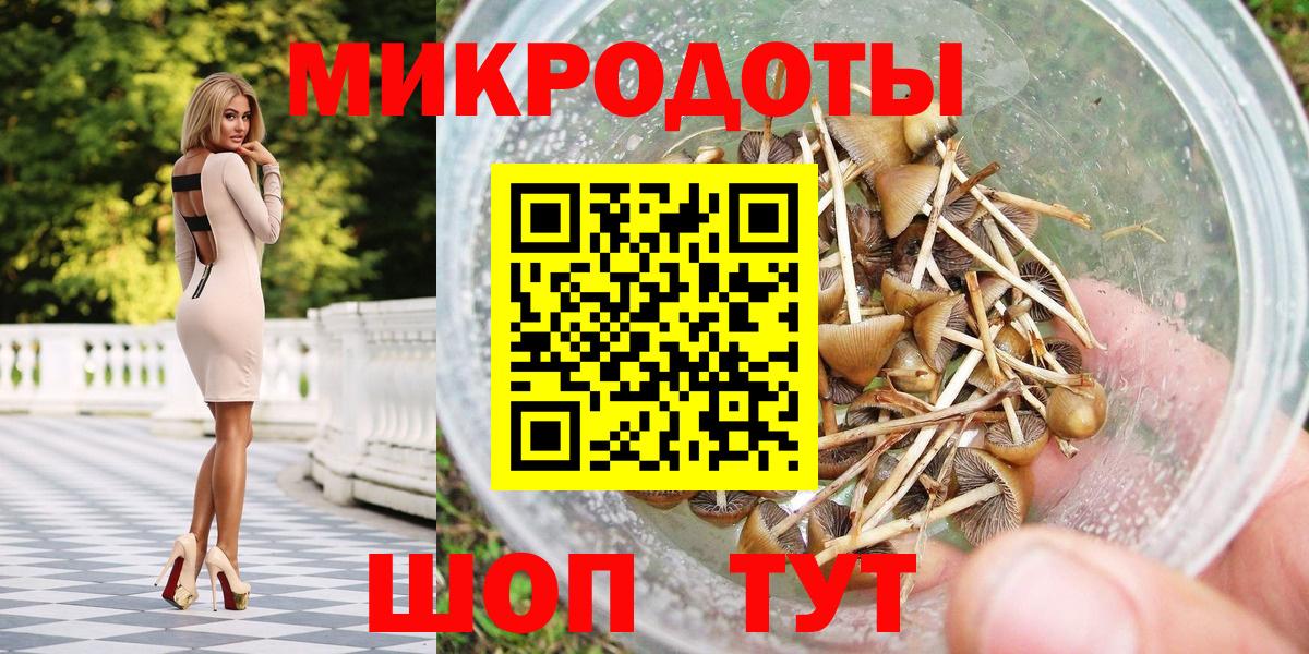 Псилоцибиновые грибы Psilocybine cubensis Артёмовский